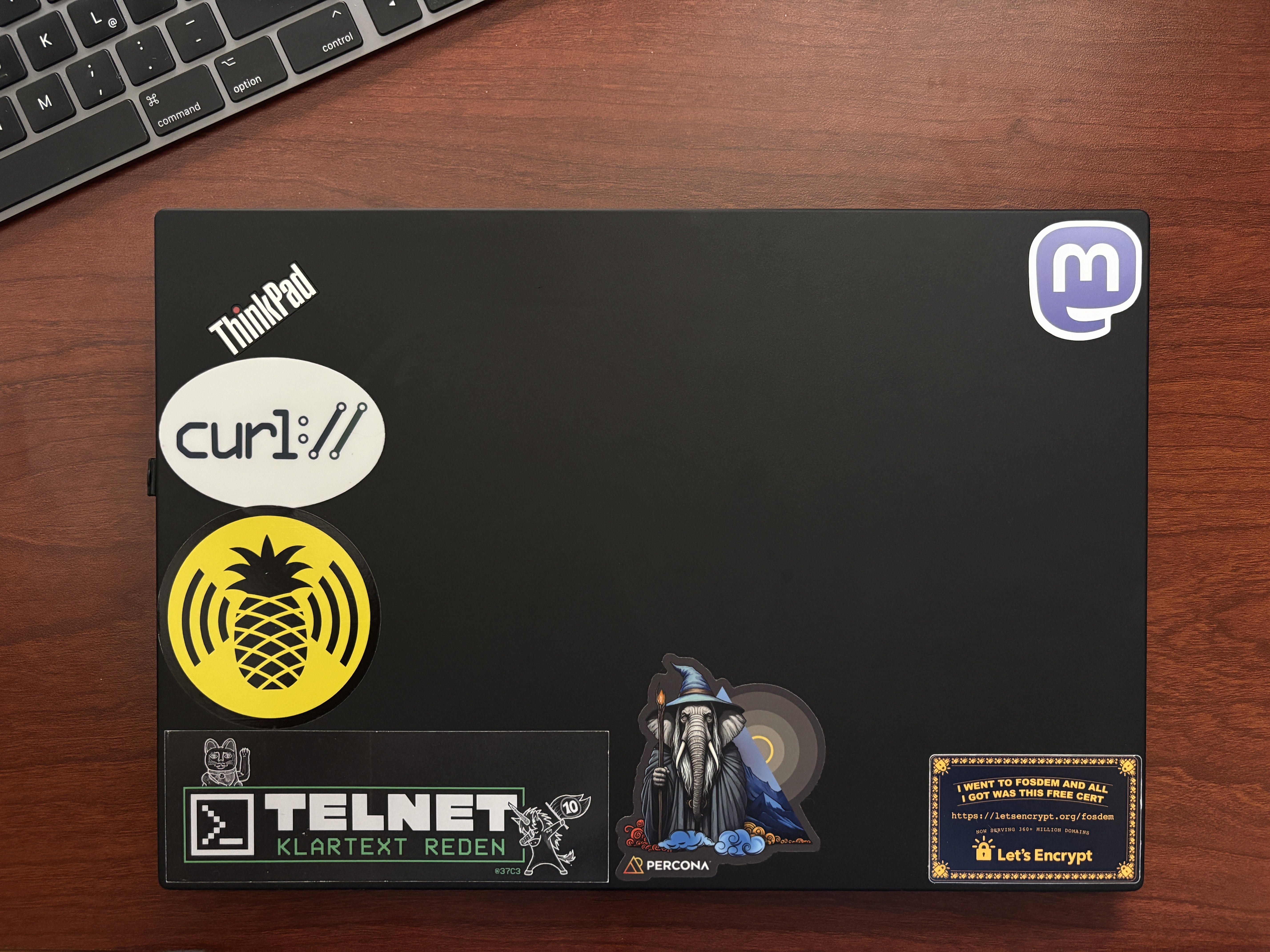 fido_1.jpg fido_1.jpg