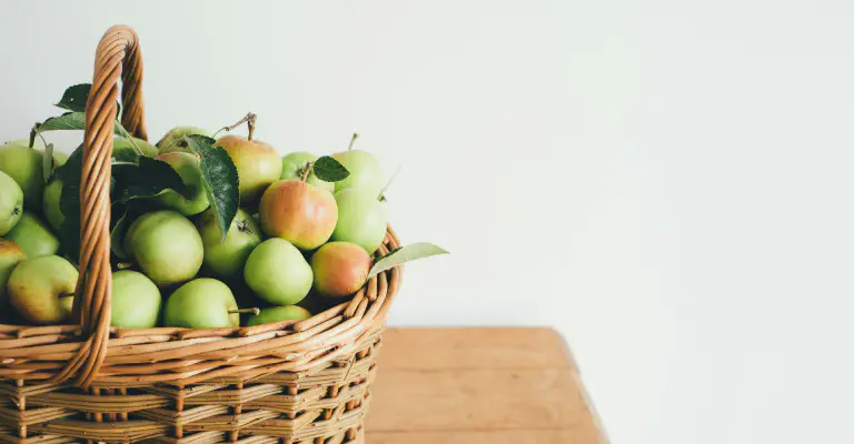 Proton Authenticator: Don't you want diversification?